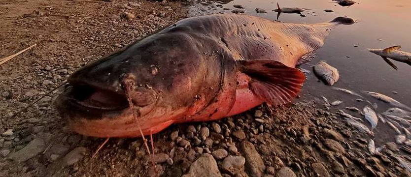 Trudna sytuacja w Widuchowej. Apel do mieszkańców i wędkarzy