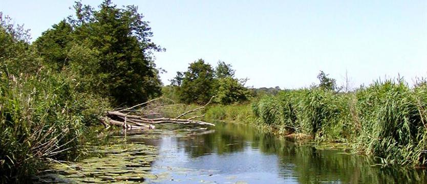 Konieczna jest rewitalizacja Międzyodrza