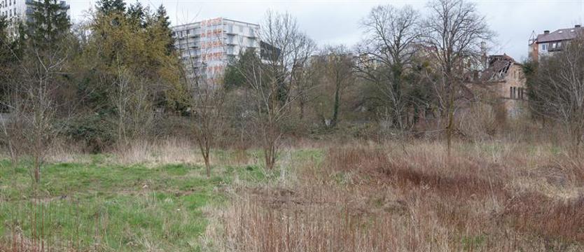 Bliski park, choć „za murem". Szczecin na dobrej (zielonej) drodze
