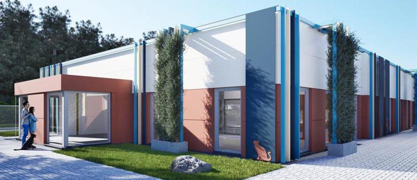 Bezdomne psy z Kołobrzegu będą miały lepiej