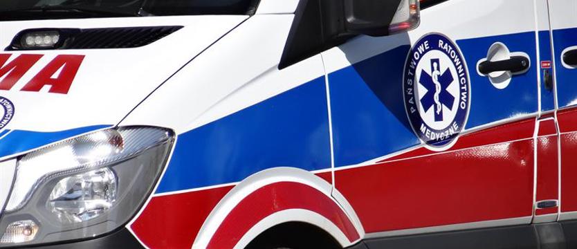 Dwie osoby w szpitalu po przygnieceniu przez drzewo przewracające się na chodnik