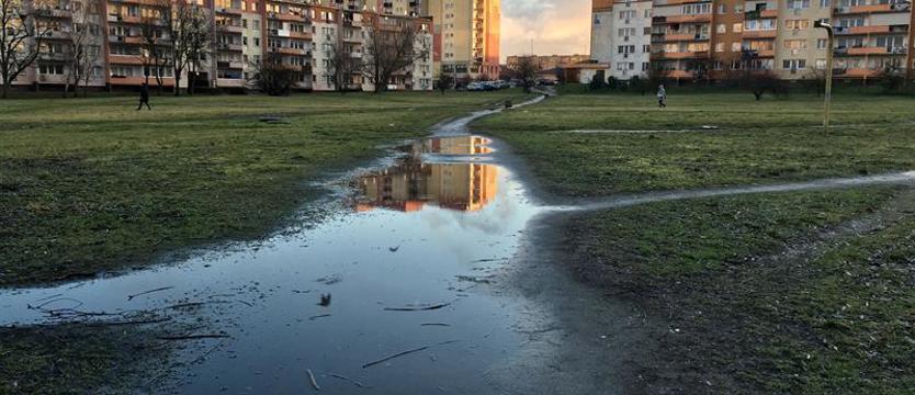 ZUK szuka wykonawcy. Park z tężnią w miejscu psiego pola