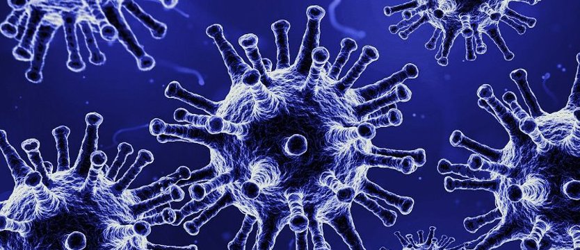 MZ: w kraju potwierdzono 22 070 nowych zakażeń COVID-19. Zmarło 31 osób