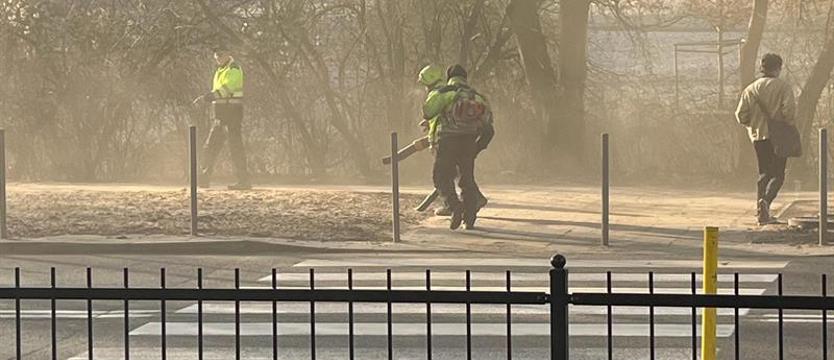 Zbyt głośne, uciążliwe i... niebezpieczne. Dmuchawy są passé