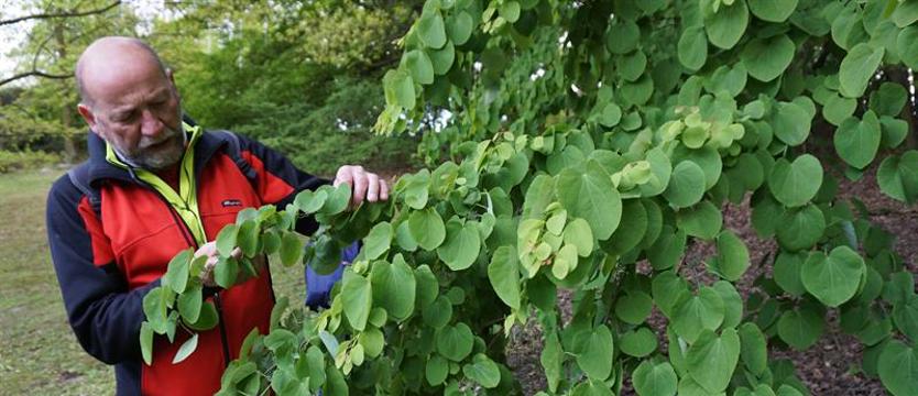 Zieleń, jezioro… – w czwartek idziemy na spacer! Nad wody Głębokiego