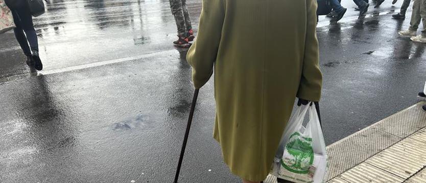 W Szczecinie ruszy pomoc po sąsiedzku dla seniorów i innych osób potrzebujących wsparcia