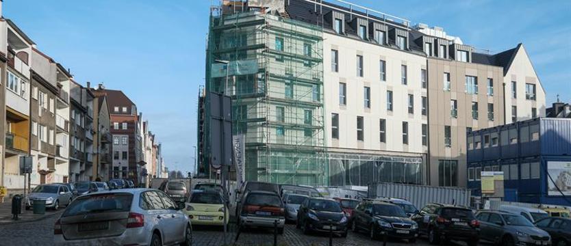 Ibis rośnie jak na drożdżach