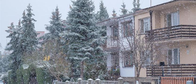 Mamy trochę zimy. Zrobiło się biało