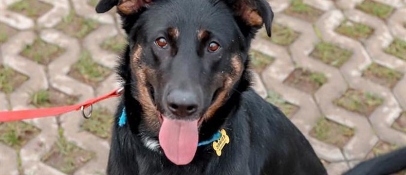 Nela sprzed kina „Pionier"