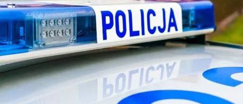 Nielegalnie wycięli 66 drzew. Policjanci zatrzymali złodziei drewna