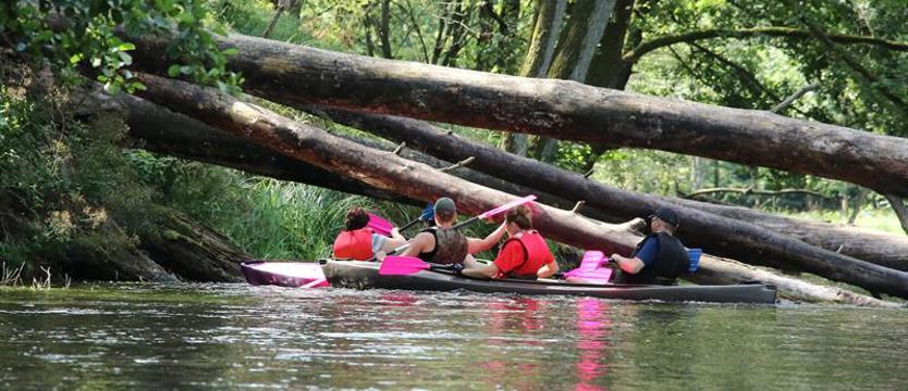 Drawieński Park Narodowy rozszerzy się na tereny Szczecina