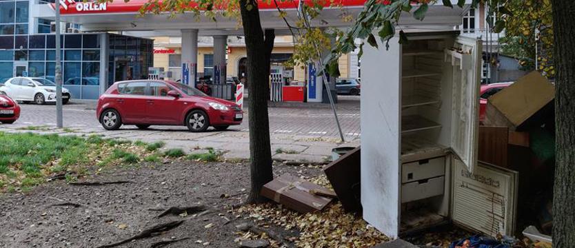Obrazek, że aż... mrozi. Lodówka przy śmietniku