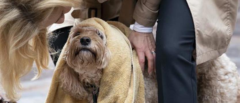 Piesiowe Love.  Pupilowe akcje i atrakcje