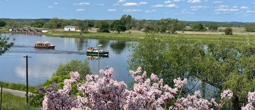 Głos za utworzeniem Parku Narodowego w Dolinie Dolnej Odry