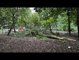 Drzewo runęło na plac zabaw w parku Chopina w Szczecinie