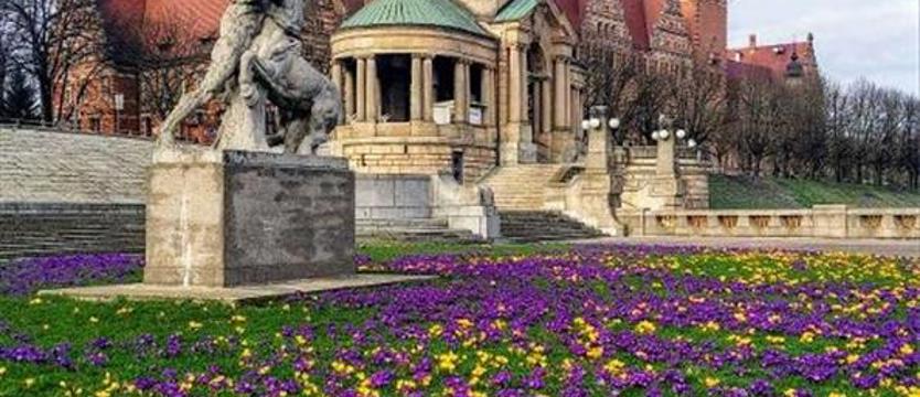 Panie na podium. Rozstrzygnęliśmy krokusowy konkurs!