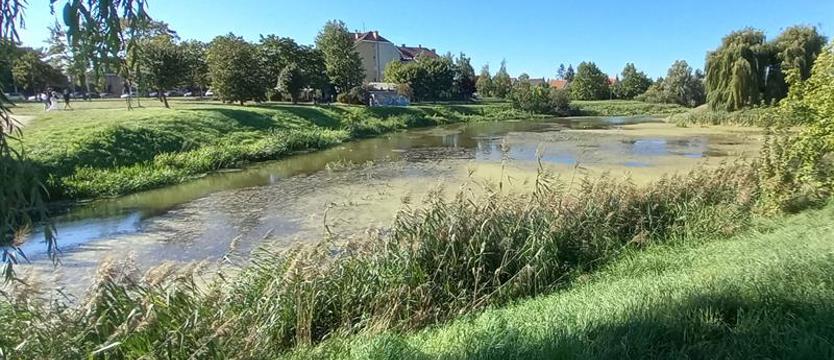Najpierw Bukowa, potem odmulenie jeziora. Nowe otwarcie dla Słonecznego?