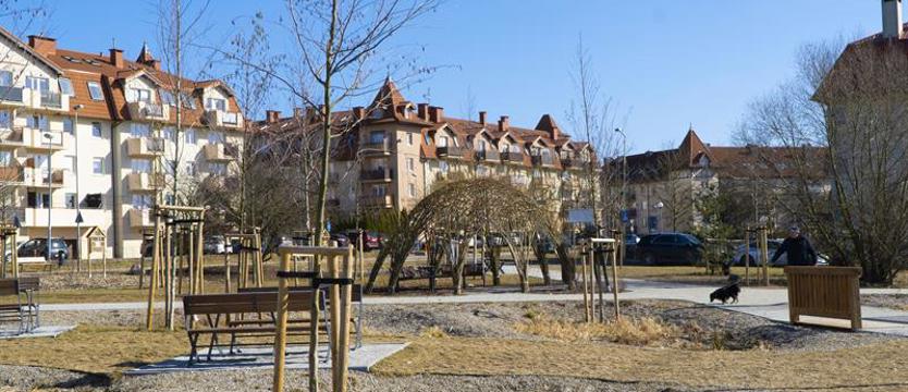 Tropem wiosennych pąków