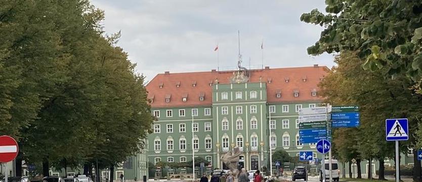 SBO w lekkim poślizgu. Drzewa dla gwiazd szczecińskiego sportu